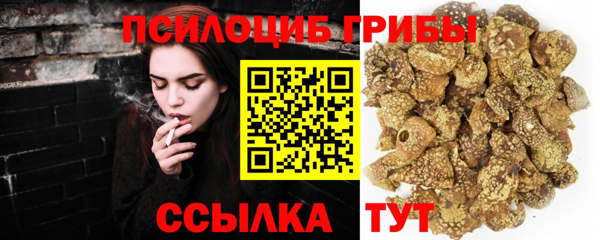 Галлюциногенные грибы мухоморы  Псилоцибиновые грибы MAGIC MUSHROOMS  Пушкино  наркотики  Вход с VPN 
