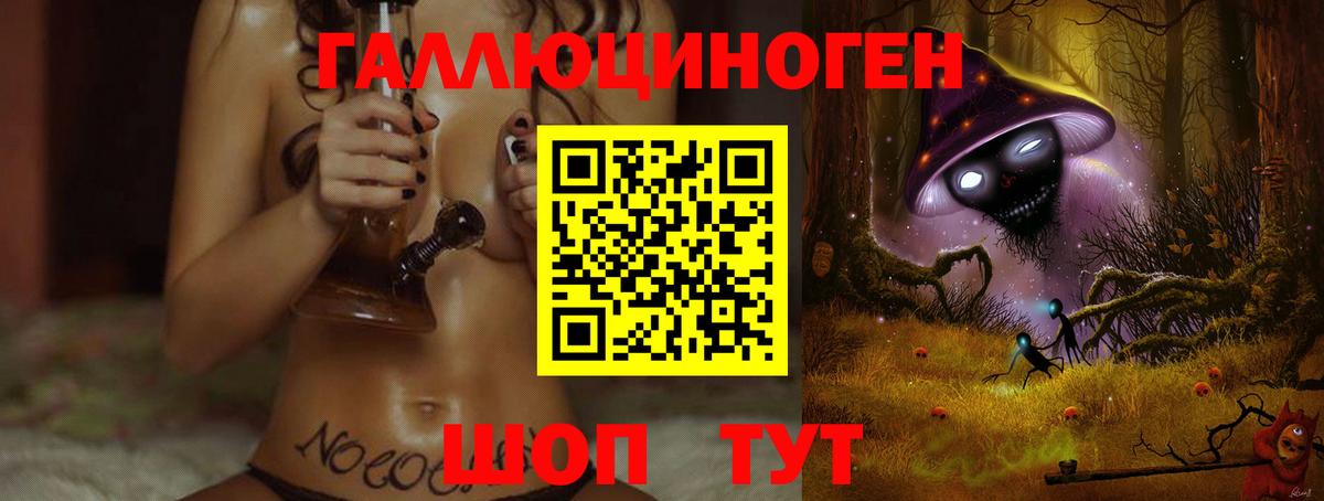 Галлюциногенные грибы Psilocybine cubensis Пушкино